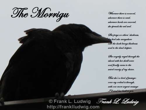 1 - The Morrigu